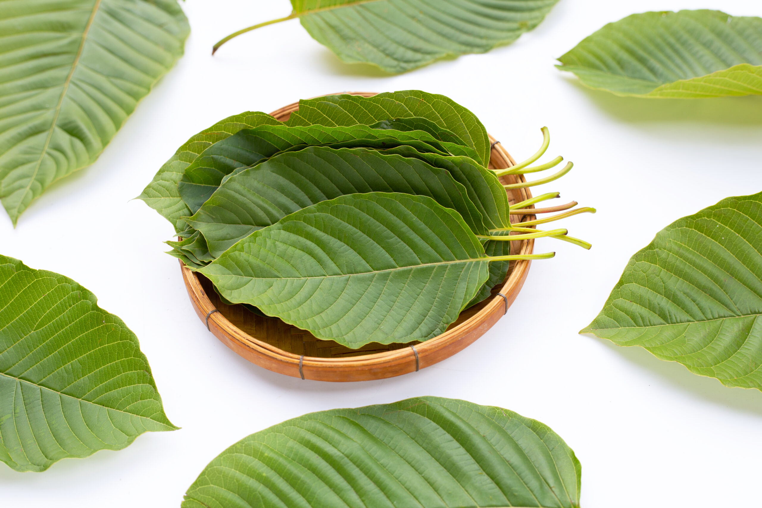 Using Borneo Kratom for Stress Relief: Insights from Wellness Experts